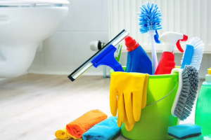 Messie Reinigung Neumünster